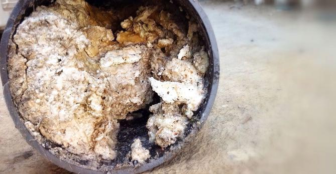 fatberg-atascada