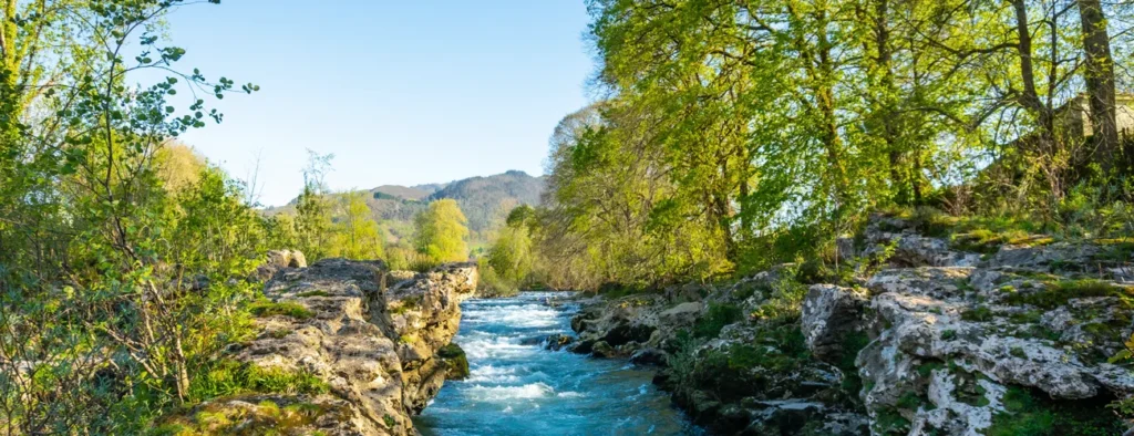 Comprometidos con la preservación del medio ambiente